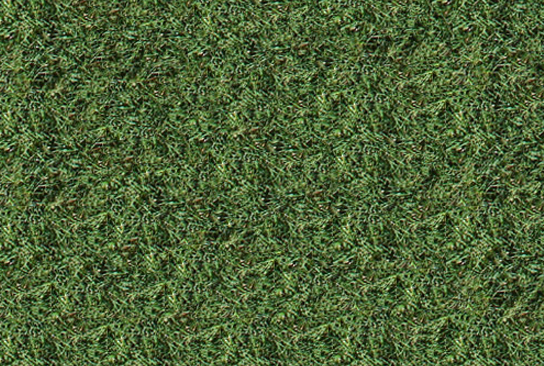 TIFGrand bermuda TIFGrand bermuda